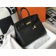 HERMES Birkin 35 Nior Togo Gold-tone Hardware