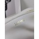 LOEWE Small Paseo Bag in Shiny Sappa Calfskin White