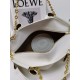 LOEWE Small Paseo Bag in Shiny Sappa Calfskin White