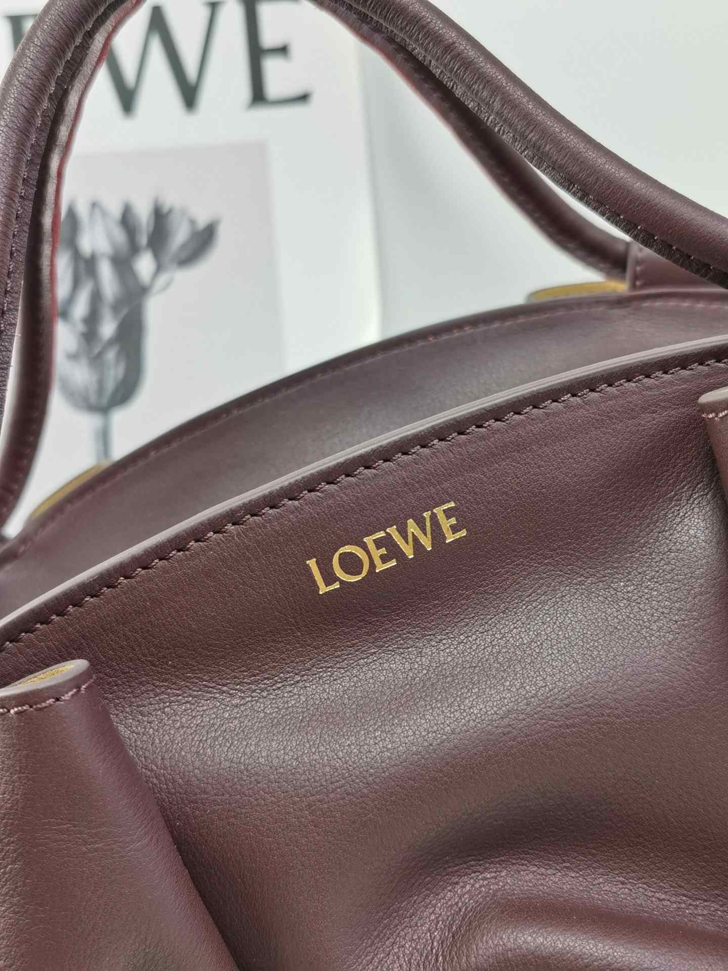 LOEWE Small Paseo Bag in Shiny Sappa Calfskin Burgundy