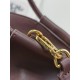 LOEWE Small Paseo Bag in Shiny Sappa Calfskin Burgundy