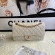 CHANEL 2.55 Handbag White