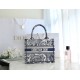 DIOR Small Book Tote Blue and White Toile de Jouy Reverse Embroidery 