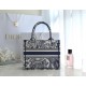 DIOR Small Book Tote Blue and White Toile de Jouy Reverse Embroidery 