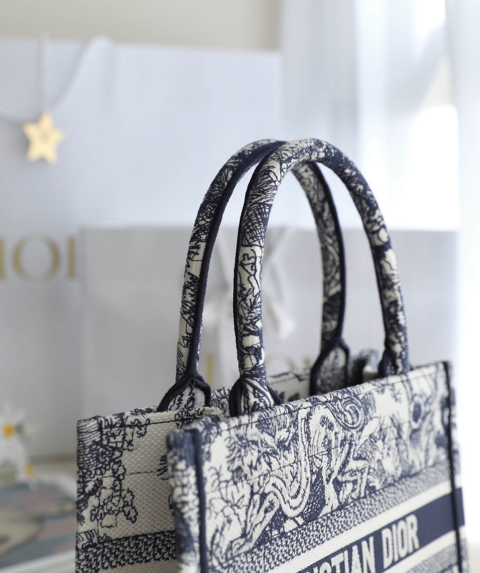 DIOR Small Book Tote Blue and White Toile de Jouy Reverse Embroidery 