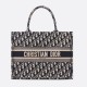 DIOR Medium Book Tote Ecru and Blue Dior Oblique Embroidery