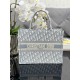 DIOR Medium Book Tote Ecru and Gray Dior Oblique Embroidery