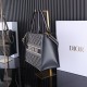 DIOR Medium Book Tote Blue Dior Oblique Embroidery and Calfskin 