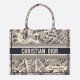 DIOR Medium Book Tote Beige and Navy Blue Plan de Paris Embroidery