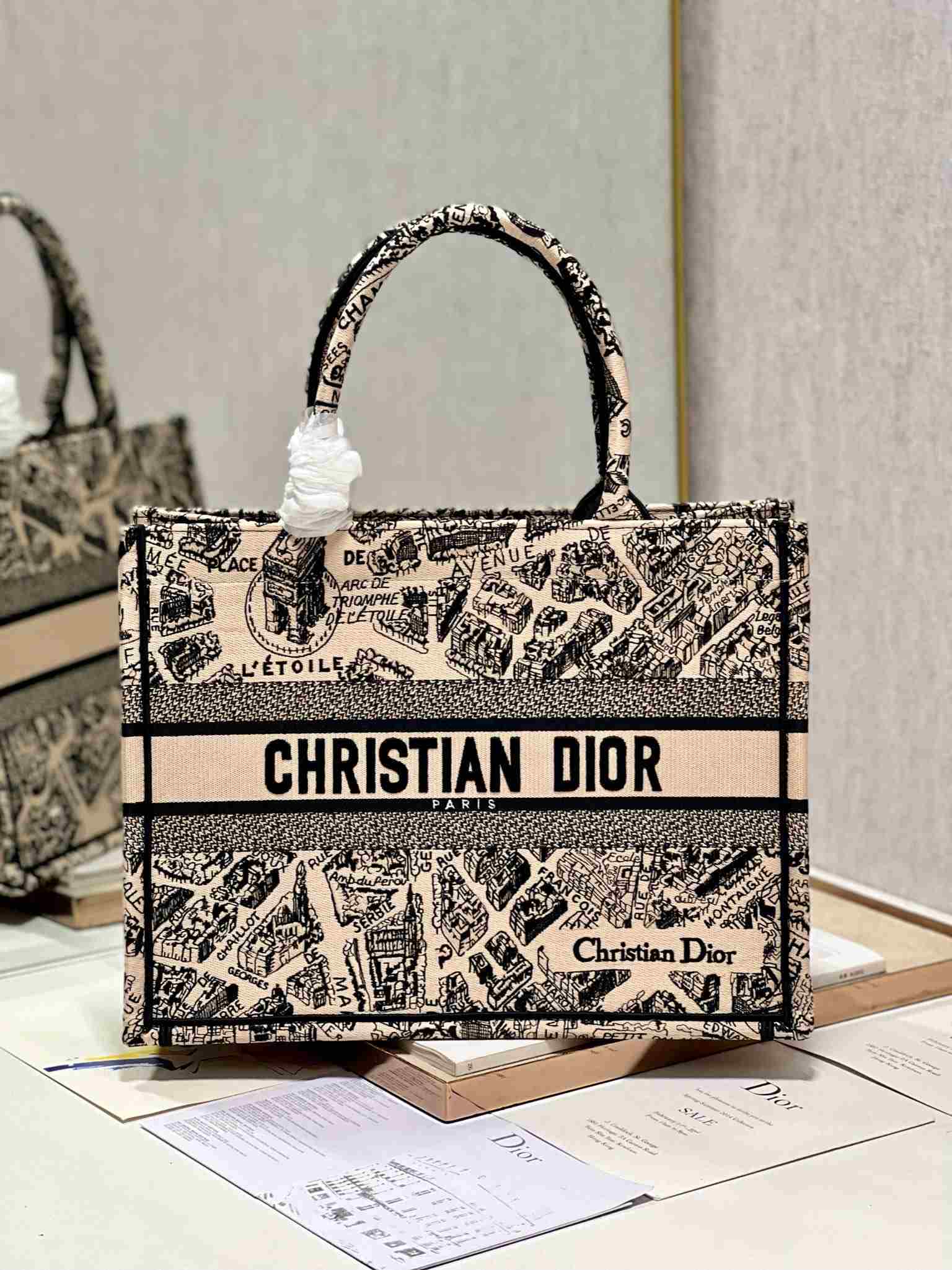 DIOR Medium Book Tote Beige and Navy Blue Plan de Paris Embroidery