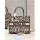 DIOR Medium Book Tote Beige and Navy Blue Plan de Paris Embroidery