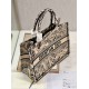 DIOR Medium Book Tote Beige and Navy Blue Plan de Paris Embroidery