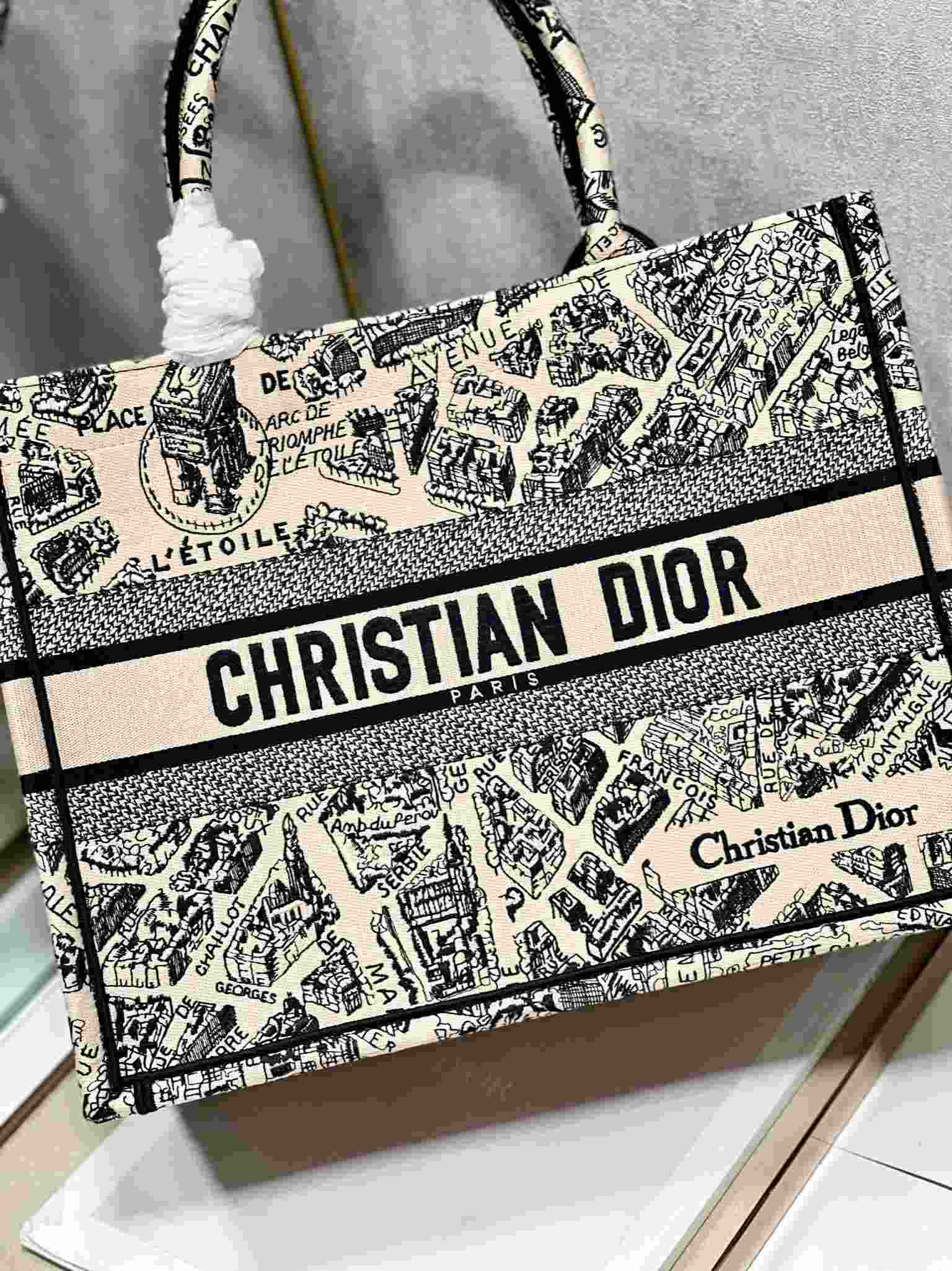 DIOR Medium Book Tote Beige and Navy Blue Plan de Paris Embroidery