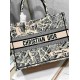 DIOR Medium Book Tote Beige and Navy Blue Plan de Paris Embroidery