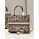 DIOR Medium Book Tote Beige and Navy Blue Plan de Paris Embroidery