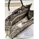 DIOR Medium Book Tote Beige and Navy Blue Plan de Paris Embroidery