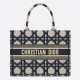 DIOR Medium Book Tote Beige and Blue Macrocannage Embroidery 