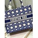 DIOR Medium Book Tote Beige and Blue Macrocannage Embroidery 