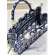 DIOR Medium Book Tote Beige and Blue Macrocannage Embroidery 