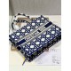 DIOR Medium Book Tote Beige and Blue Macrocannage Embroidery 