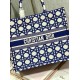 DIOR Large Book Tote Beige and Blue Macrocannage Embroidery