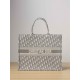 DIOR Large Book Tote Ecru and Gray Dior Oblique Embroidery