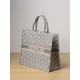 DIOR Large Book Tote Ecru and Gray Dior Oblique Embroidery