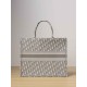 DIOR Large Book Tote Ecru and Gray Dior Oblique Embroidery