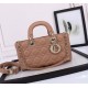 DIOR Medium Lady D-Joy Bag Warm Taupe