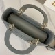 DIOR Medium Lady Dior Bag Stone Gray