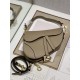 DIOR Saddle Bag  with Strap Sand-Colored