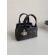 DIOR Small Dior Toujours Bag Black