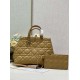 DIOR Large Dior Toujours Bag Medium Tan