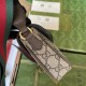 GUCCI Ophidia Mini Bag Brown leather trim