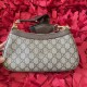 GUCCI Ophidia Small Handbag Brown leather trim