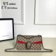 GUCCI Dionysus Small Rectangular Bag Red suede