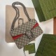 GUCCI Dionysus Small GG Shoulder Bag Red suede 