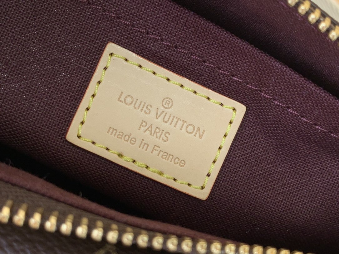 LOUIS VUITTON Vibe Monogram