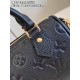 LOUIS VUITTON Nano speedy Black