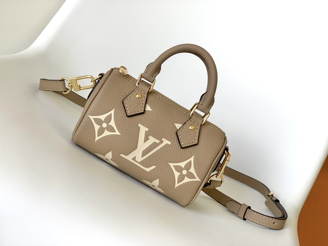 LOUIS VUITTON Nano speedy Tourterelle Grey/Cream