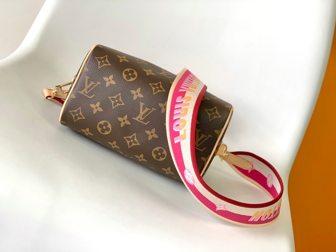 LOUIS VUITTON Speedy Bandoulière 20 Monogram