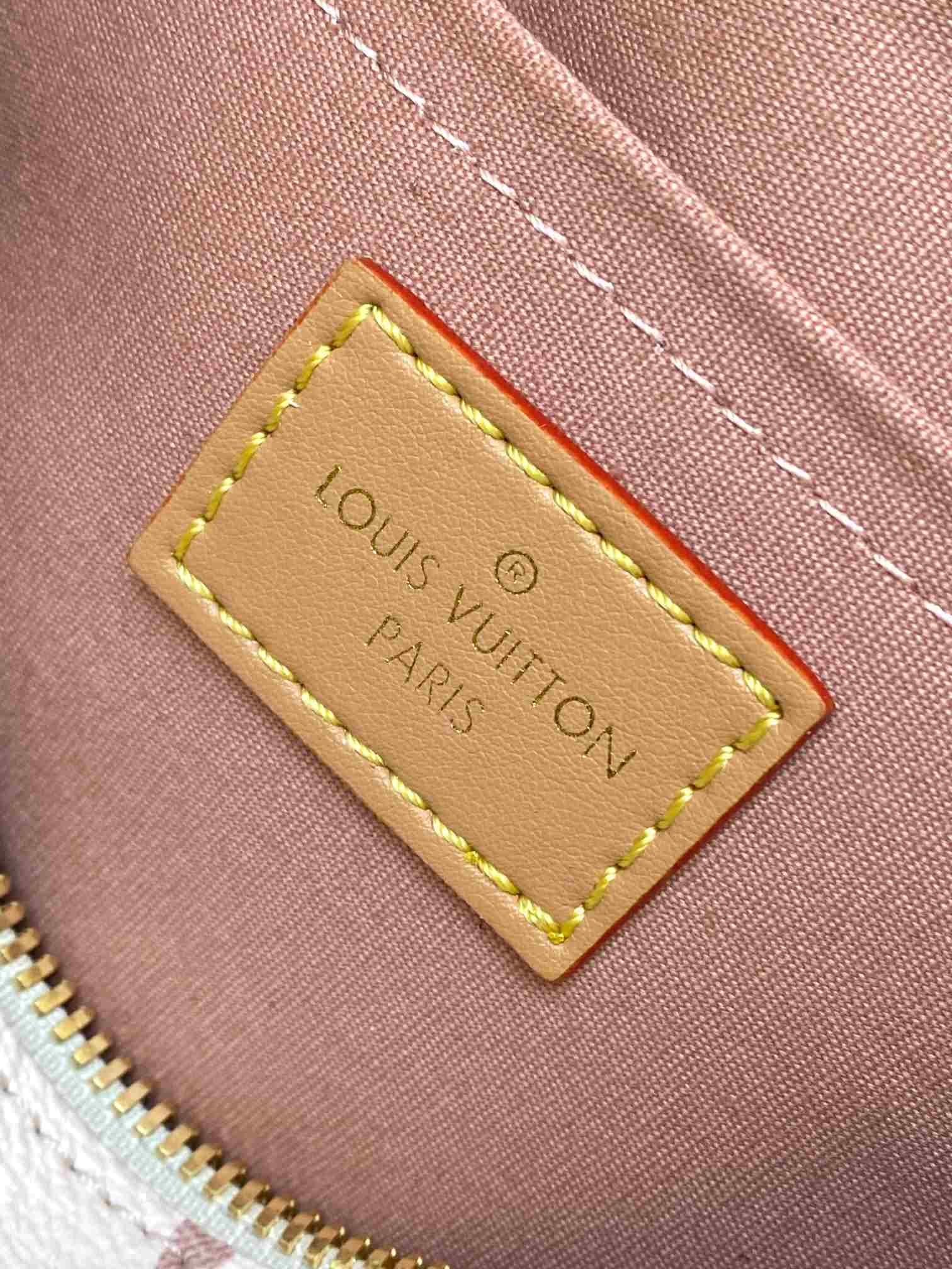 LOUIS VUITTON Speedy Bandoulière 20 Monogram Dune coated canvas