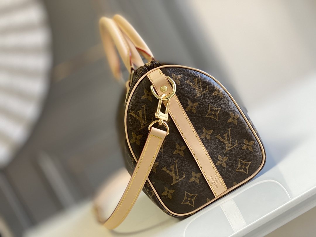 LOUIS VUITTON Speedy Bandoulière 25 Monogram