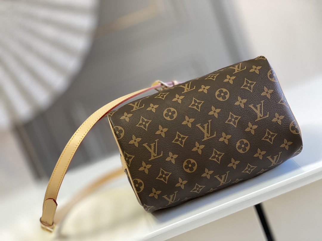 LOUIS VUITTON Speedy Bandoulière 25 Monogram