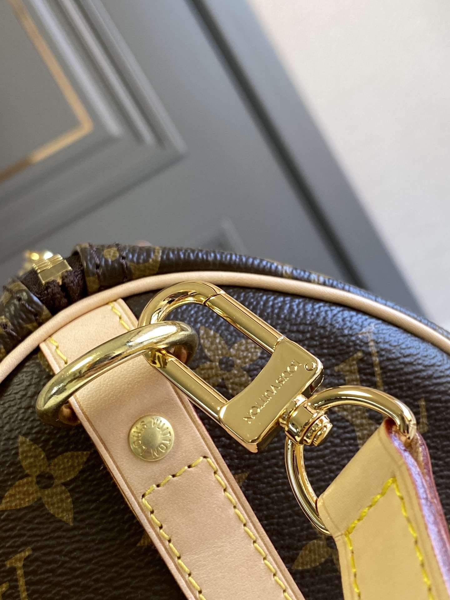 LOUIS VUITTON Speedy Bandoulière 25 Monogram