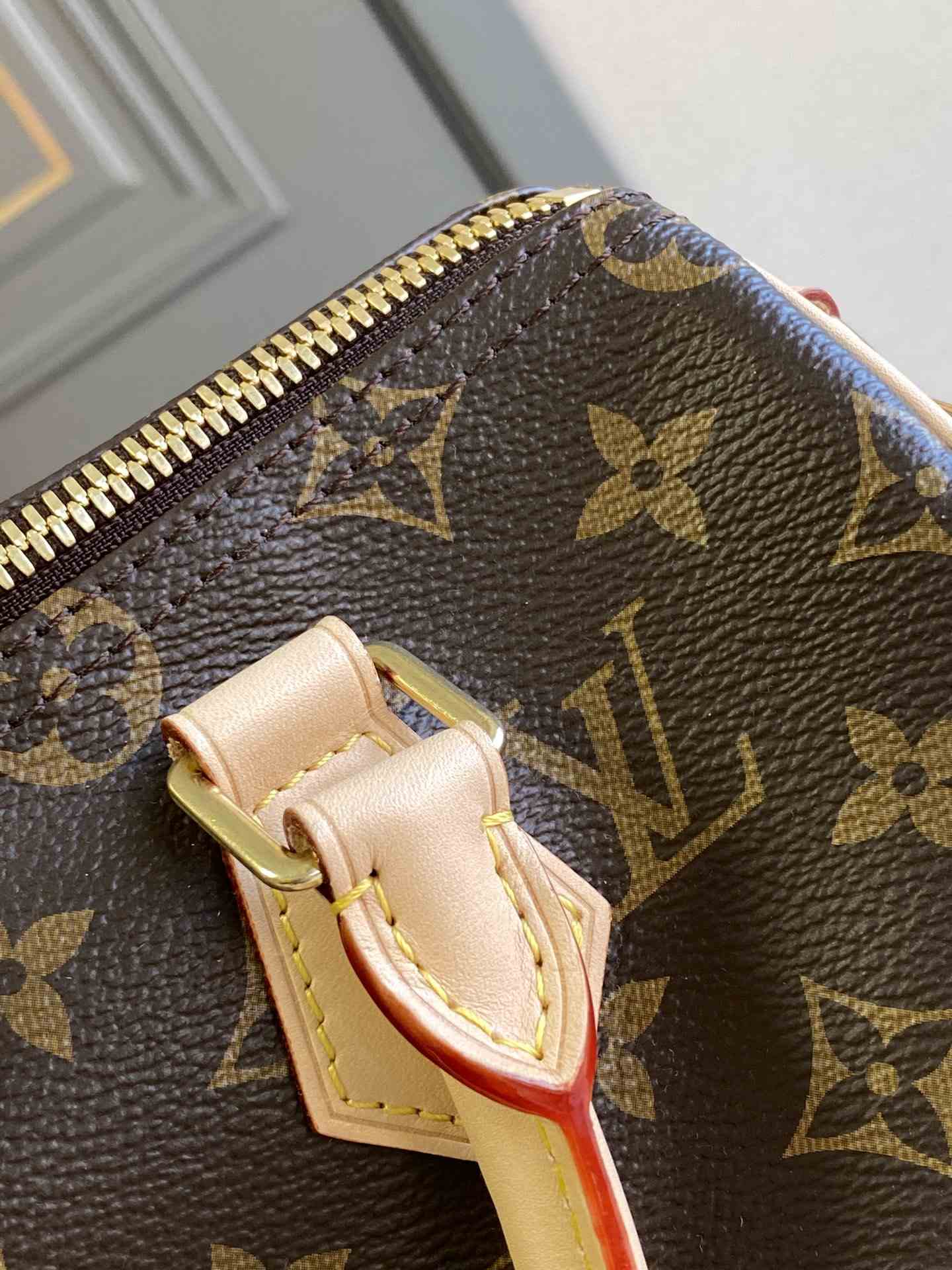 LOUIS VUITTON Speedy Bandoulière 25 Monogram