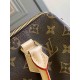 LOUIS VUITTON Speedy Bandoulière 25 Monogram