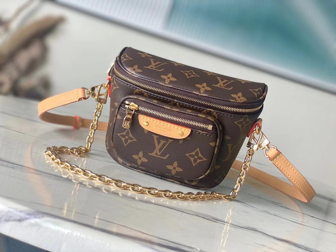 LOUIS VUITTON Mini Bumbag Monogram