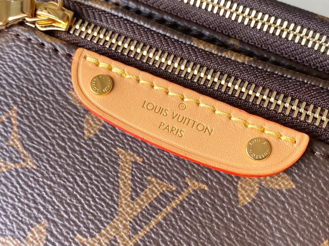 LOUIS VUITTON Mini Bumbag Monogram