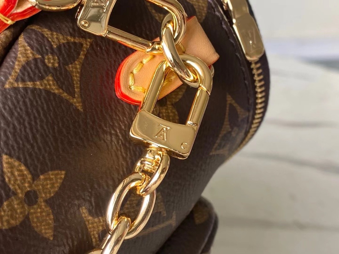 LOUIS VUITTON Mini Bumbag Monogram